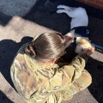 article image - vet3